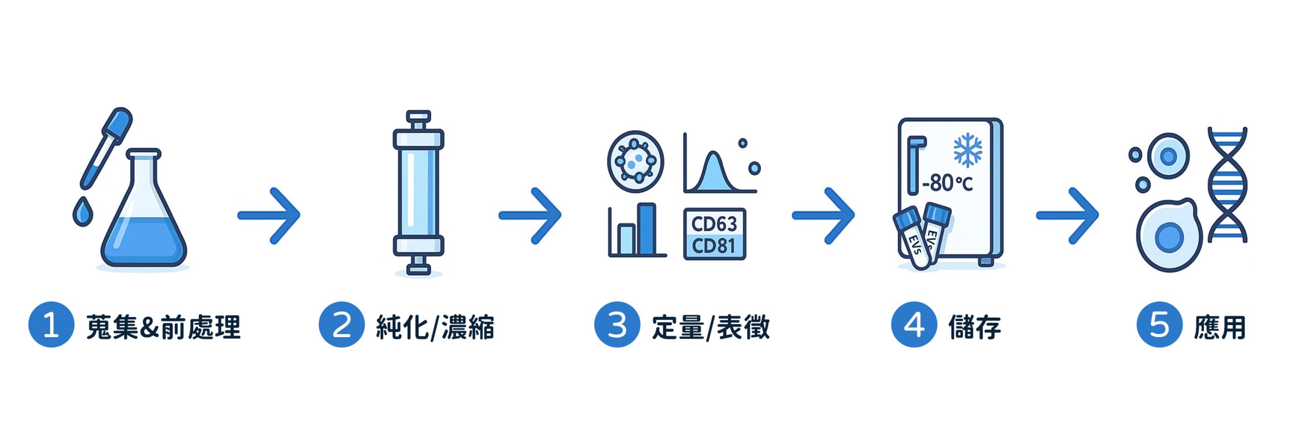 EVs 研究新手必讀：從樣品到結果的4個步驟