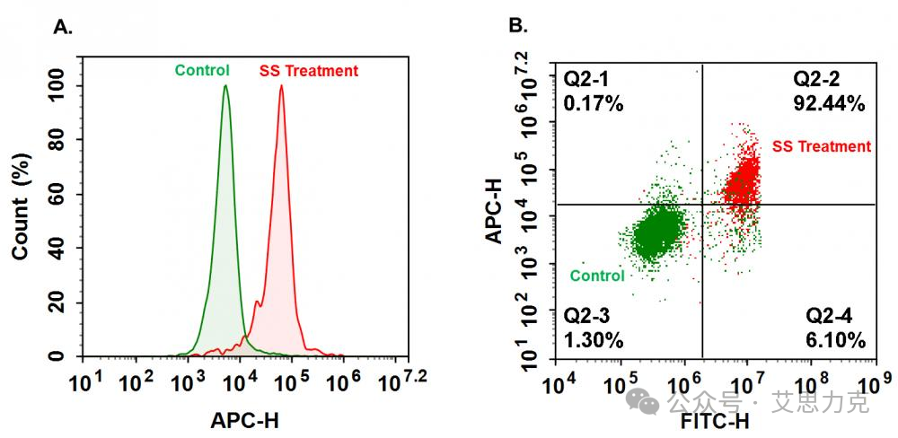 一文搞懂細胞凋亡檢測：Annexin V/PI、JC-1、Caspase-3活性、TUNEL、PARP、Sub-G1 等從原理到多參數實操